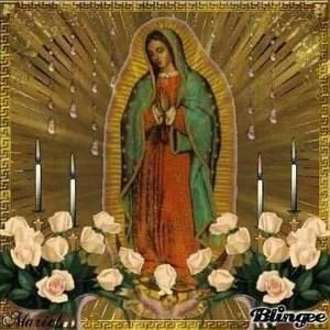 Meet your Posher, Ronaldo